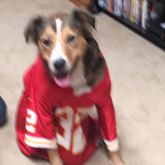 Meet your Posher, Nancy - Picture 1 of 1